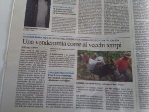 ” UNA VENDEMMIA COME AI VECCHI TEMPI “