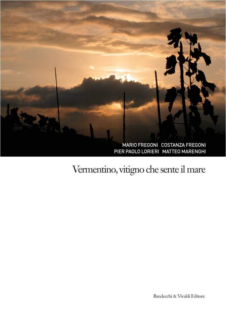 vermentino vitigno che sente il mare