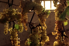 Senza titolo-22