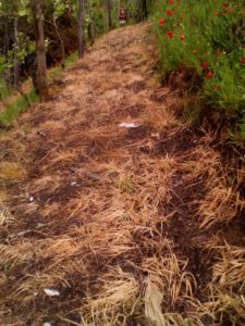 Diserbo Tradizionale