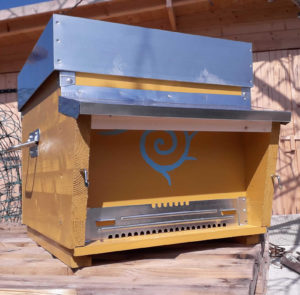 adotta un arnia piccola