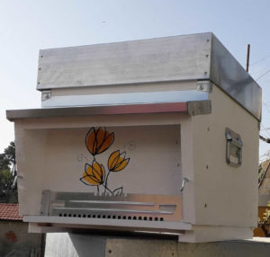 Adotta un Arnia Grande