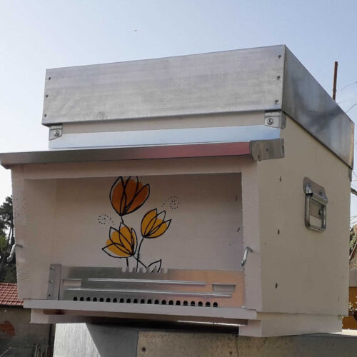 Adotta un Arnia Grande